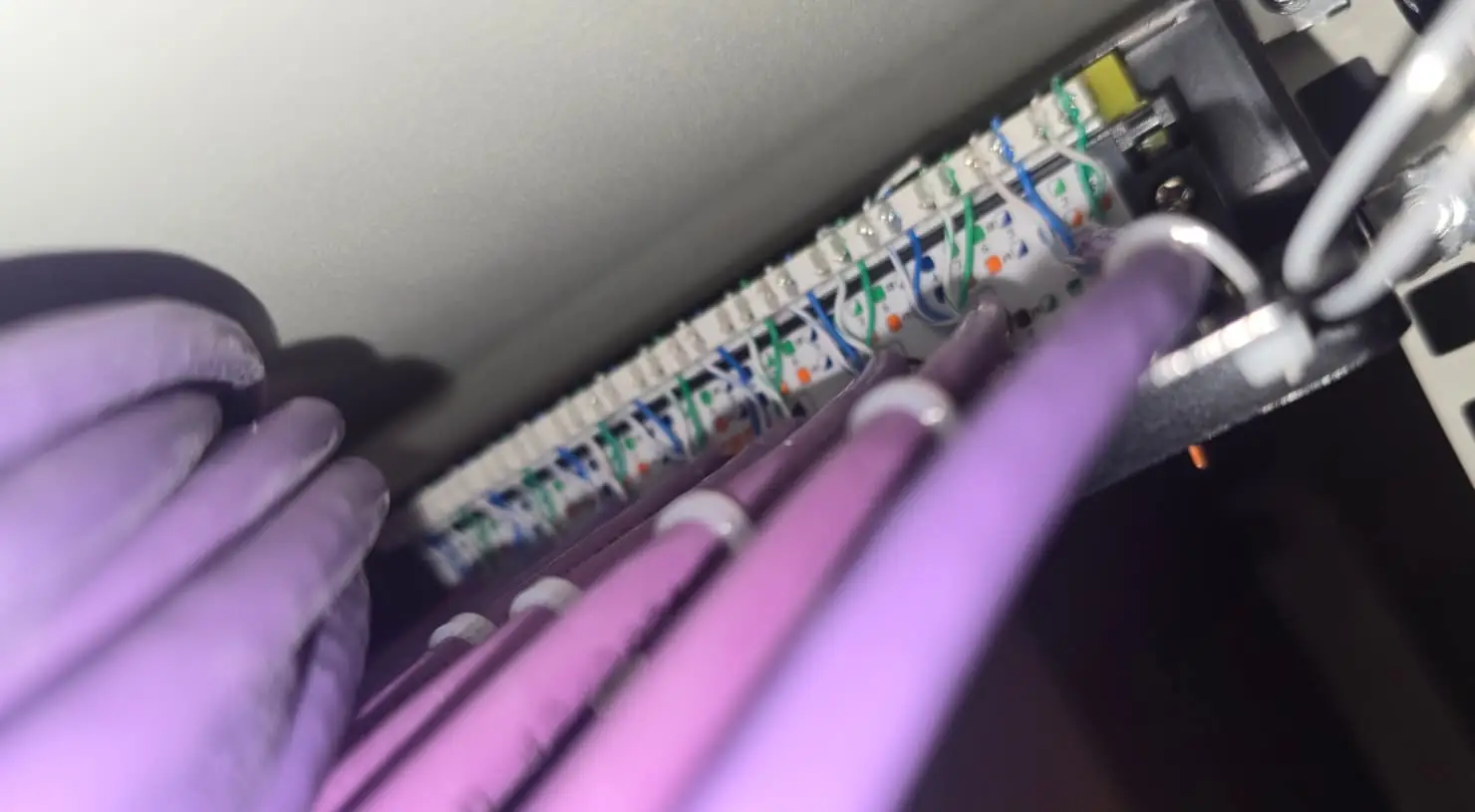 Purple structured network cabling terminated inside The Ruze communications cabinet